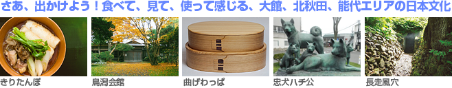 さあ、出かけよう！食べて、見て、使って感じる、大館、北秋田、能代エリアの日本文化